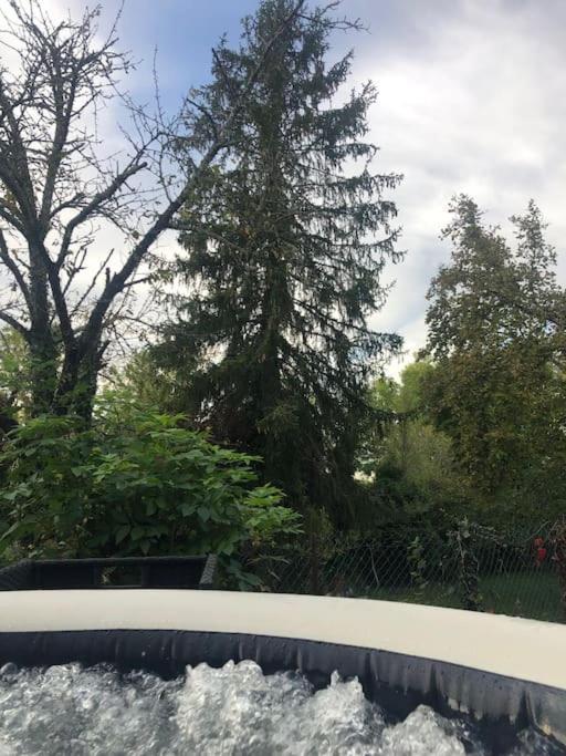 Charmant Gite En Perigord Vert Douchapt Exterior photo